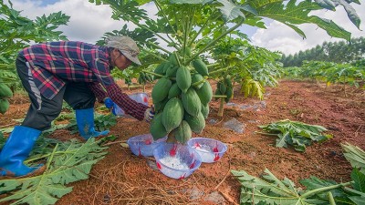 2025生物酶制剂行业发展趋势