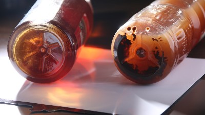 酒曲与酶制剂有什么区别？两个可以同时使用吗？