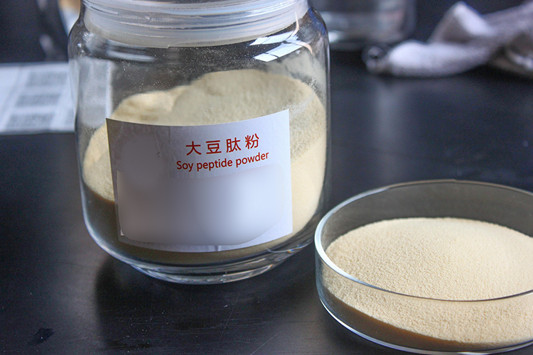 大豆蛋白肽