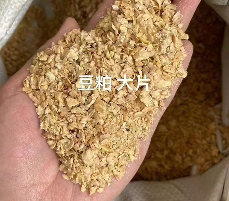 豆粕蛋白饲料