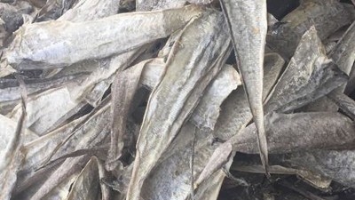 水解鱼皮做胶原蛋白肽有苦味，风味酶能去除苦味吗？