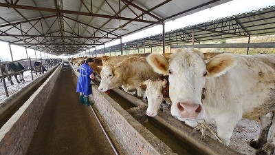 一文搞懂，饲料用蛋白酶有几种？