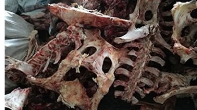 牛骨、猪骨蛋白胨生产，适合的酶制剂有哪些呢？